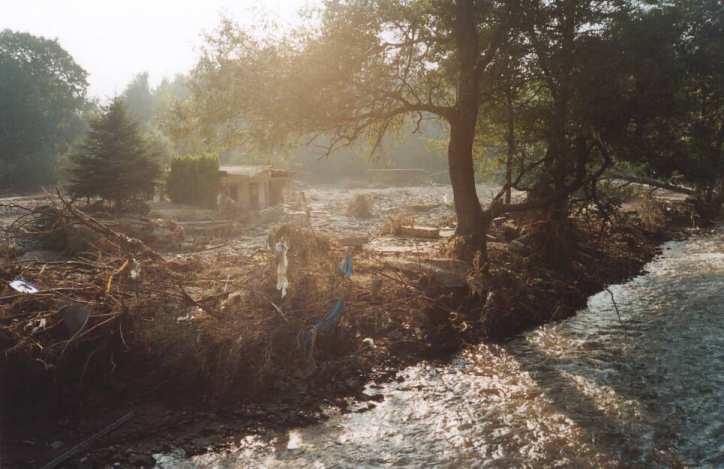 Hochwasser - Bild5